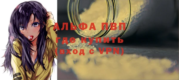 стафф Белокуриха