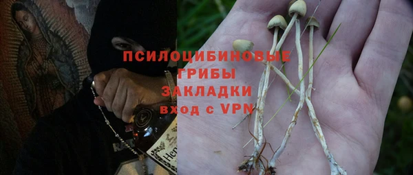 стафф Белокуриха