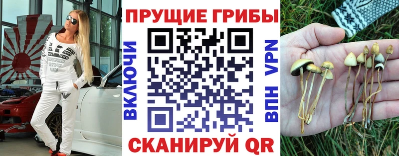 Галлюциногенные грибы Psilocybine cubensis  Бутурлиновка 